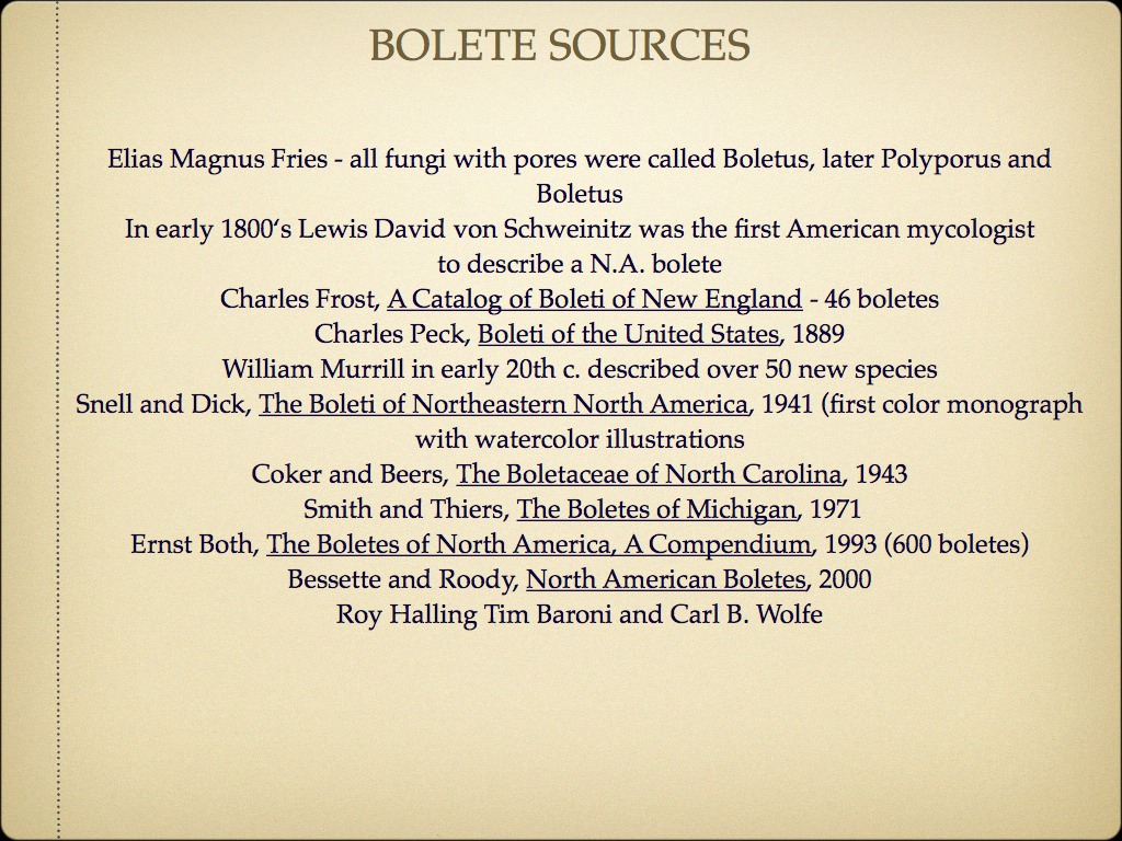 BOLETES copy.001