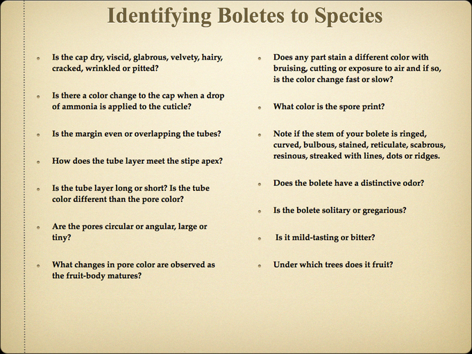 BOLETES.006-001