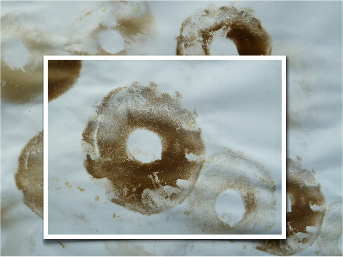 BOLETES.007-001