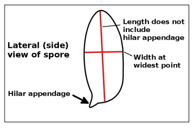 figure5