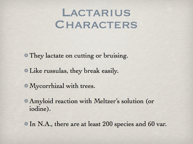 LACTARIUS.002-001