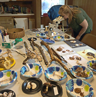 Mary in Learning Lab-scaled