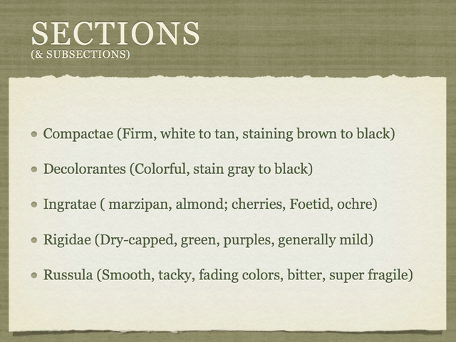 RUSSULA for Flicker.007-001