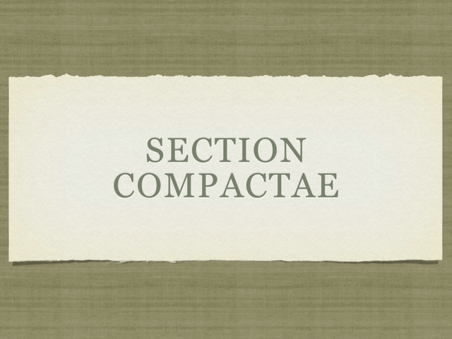 RUSSULA for Flicker.008-001