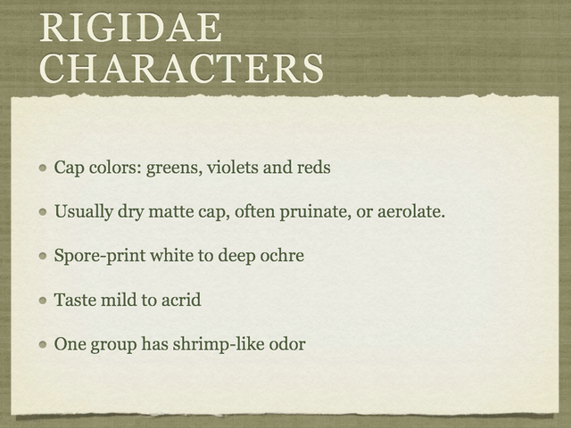 RUSSULA for Flicker.029-001