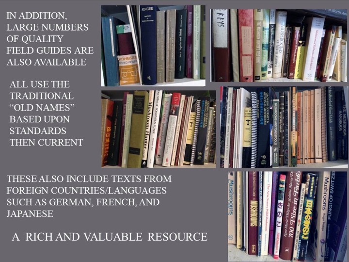 Slide011