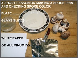Slide012