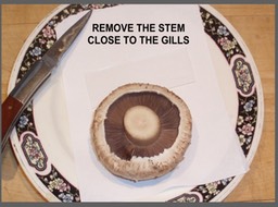 Slide013