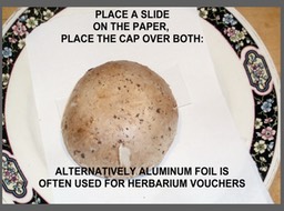 Slide014