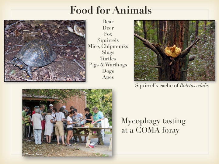 Slide015