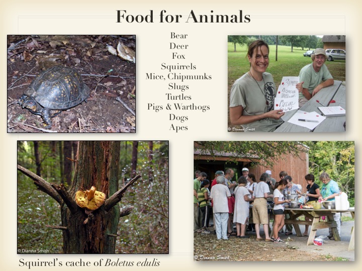 Slide015