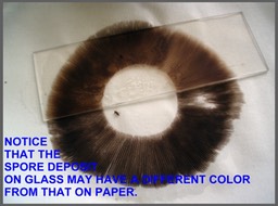 Slide018