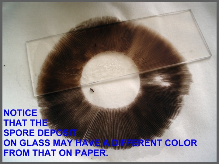 Slide018