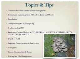 Slide02