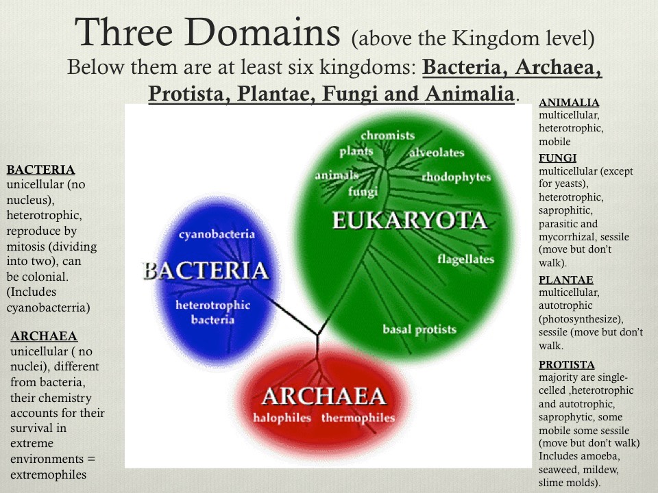 Slide02
