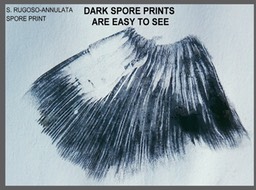Slide023
