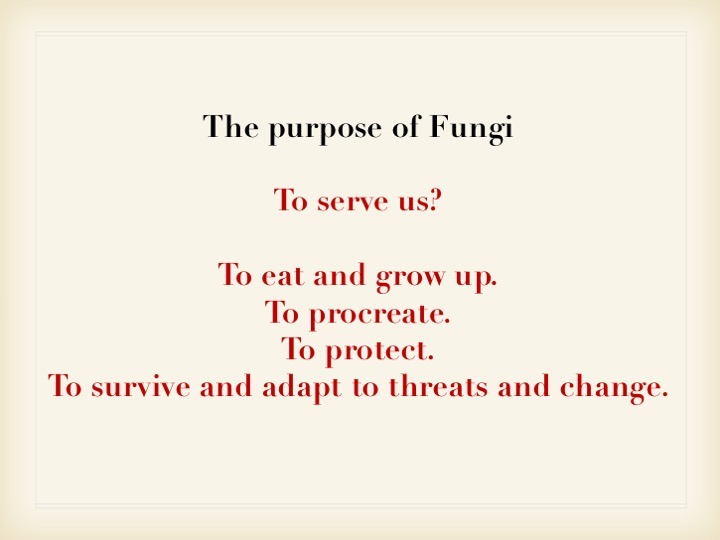 Slide024
