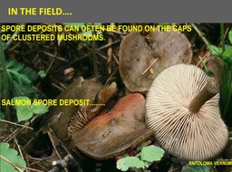 Slide024