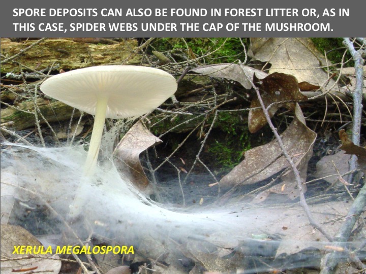 Slide025