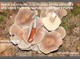 Slide026