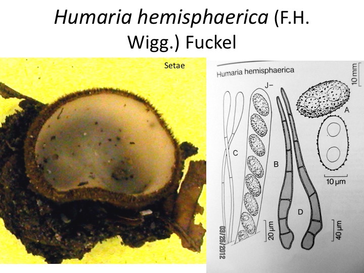 Slide027