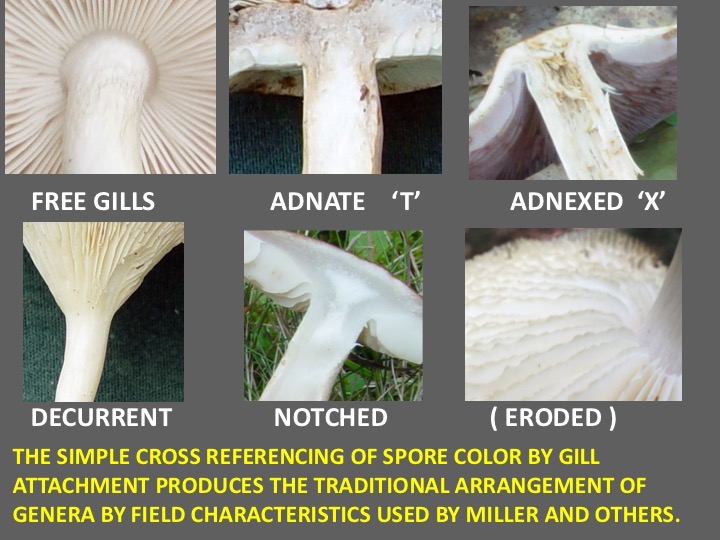 Slide028