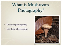 Slide03