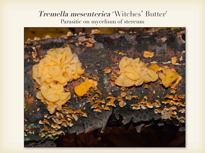 Slide032