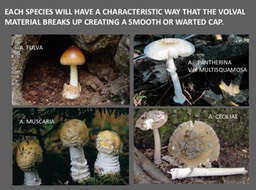 Slide032