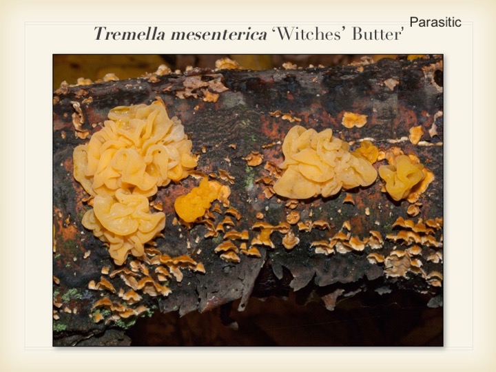 Slide033