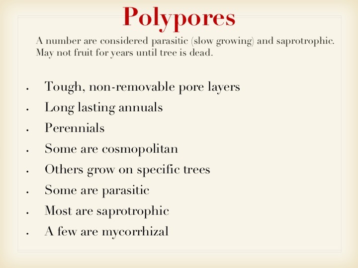 Slide035