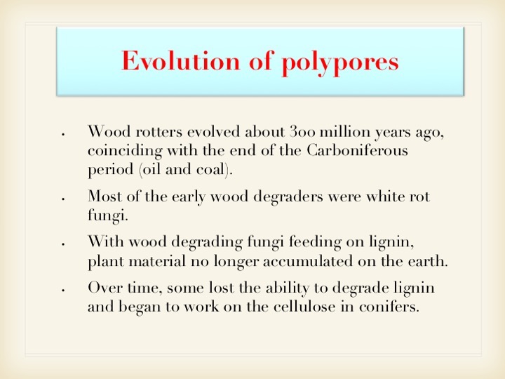 Slide035