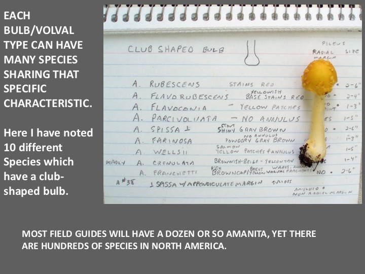 Slide035