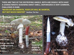 Slide036