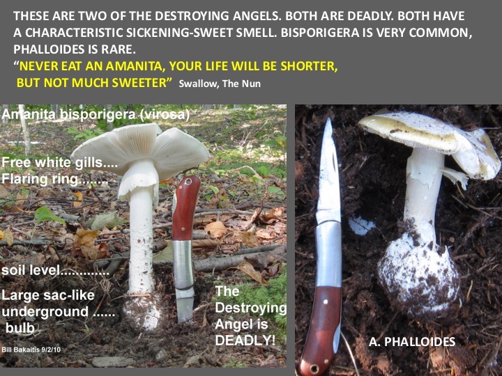 Slide036