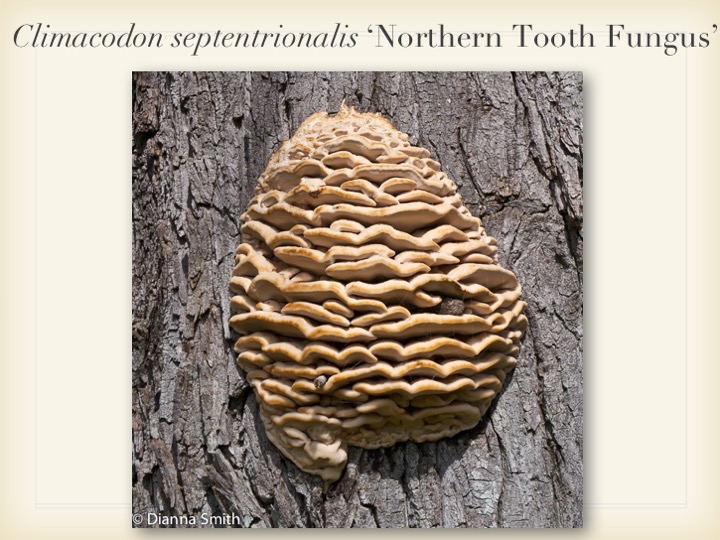 Slide040