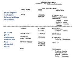 Slide03