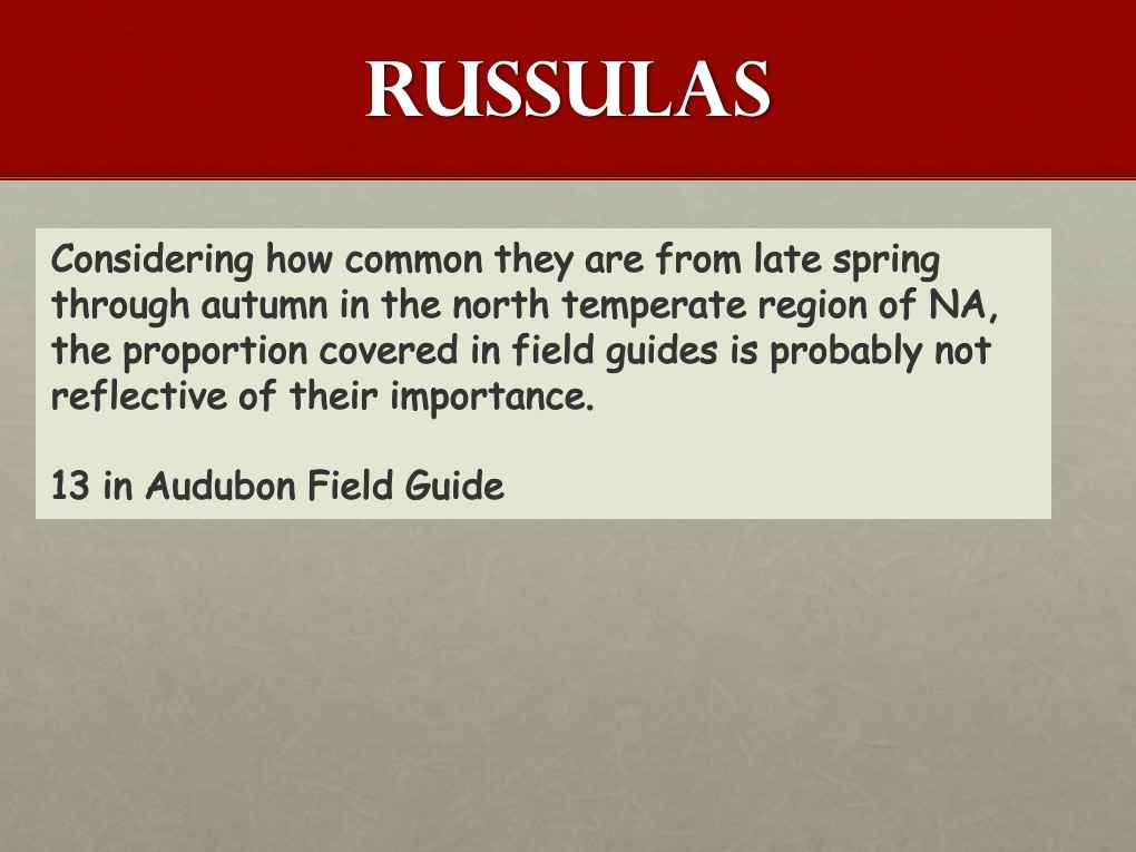 Slide03
