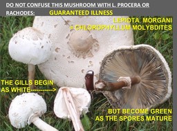 Slide041