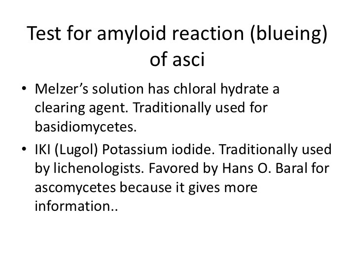 Slide042