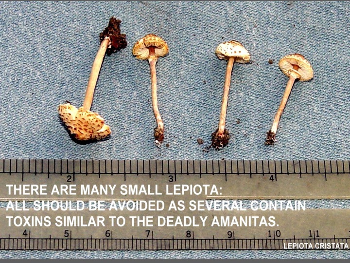 Slide043