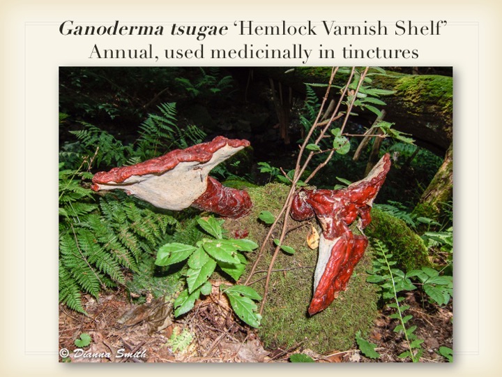Slide046