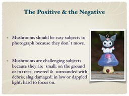 Slide05