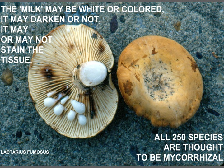 Slide056