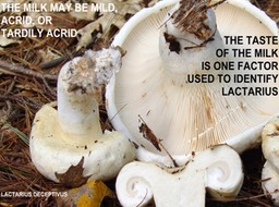Slide057