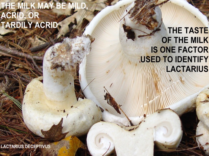 Slide057