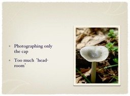 Slide06