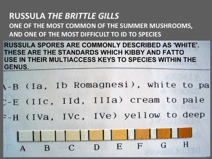Slide062