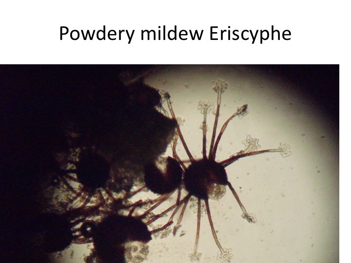 Slide065