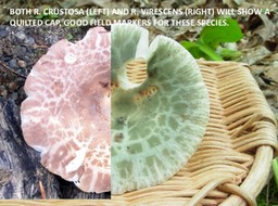 Slide066